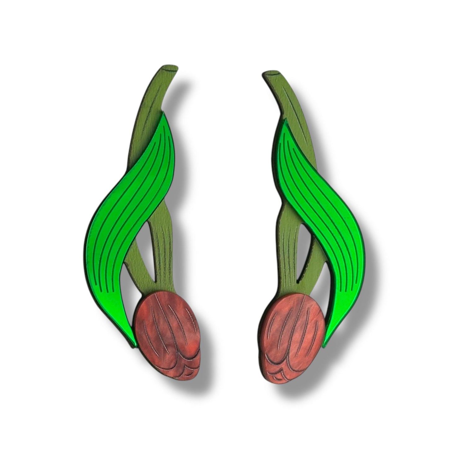 Blooming Tulip